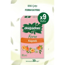 Odea Tr Doğadan Form Kayısılı Karışık Bitki Çayı, 20 Poşet x 9 Kutu