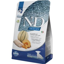 Odea Tr Ocean Morina Balkabağı&kavun Puppy Mını 2,5kg