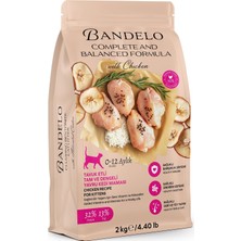 Odea Tr Yavru Tavuklu Kuru Kedi Maması 2 kg - Vitamin Ilaveli Tam ve Dengeli Besleyici, Yüksek Hayvansal Protein Içerikli Kuru Mama