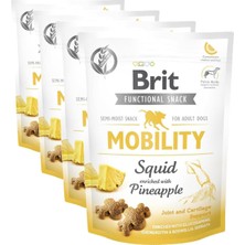 Odea Tr Care Functional Snack, Eklem ve Kıkırdak Sağlığını Desteklemek Için, Tahılsız, Kalamar ve Ananaslı, Fonksiyonel Yetişkin Köpek Ödülü, 150 G (4 Paketi)
