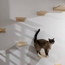 Odea Tr Kedi Oyun Parkuru Ahşap 6 Parça