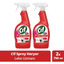 Die Grup Tr Her Yer Leke Uzmanı Halı Koltuk Mutfak Temizleyici Sprey, 750 ml x 2