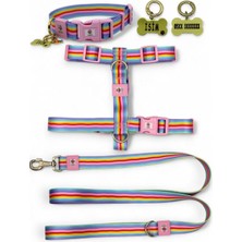Die Grup Tr Köpek Tasma Seti, Gökkuşağı Renkli, Polyester, H Tipi Gövde Tasması, Boyun Tasması, Gezdirme Kayışı ve Kişiye Özel Isimlik Künyesi