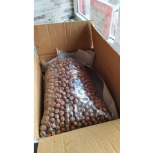 Die Grup Tr Giresun Kabuklu Fındık 500 gr - 2020 Mahsulü 1. Kalite Fındık (1)