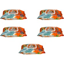 Die Grup Tr Freshmaker Islak Havlu Mendil - Alkolsüz - Ph Dengelenmiş - Çiçeksi Kokular - 90 Adetlik 5 Paket