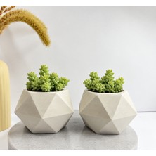 2 Adetgeometrik Saksı ve 2 Adet Sedum Burrito