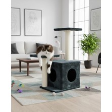 Pet Çift Basamaklı Yuvalı Kedi Tırmalaması Antrasit