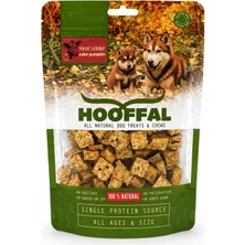 Hooffal Dana Meme Küp Balkabaklı Köpek Ödül Maması 100 gr