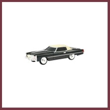 Storeşahin Wster WS-1969BT Oto Muzik Calar SHN0720