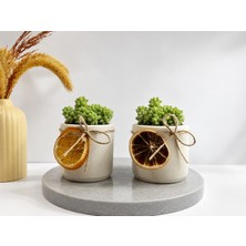 2 Adet Dekoratif Portakallı Saksı ve 2 Adet Sedum Burrito