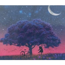 Mentaş Elmas Boyama Boncuklu Goblen Mozaik Puzzle Kristal Taşlı Pano 50X40 Kit Tam Set