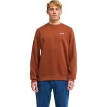 Billabong Arch Cr Erkek Sweatshirt