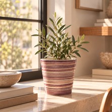 Homing Sunny Renkli Seramik Saksı 13 cm