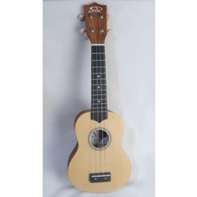 Vionna 21 Inç Soprano Ukulele, Kılıf ile Birlikte, Müzik Eğlencesi Için