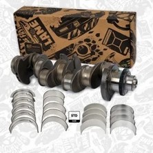 KING PISTONS Yatak Ana Ducato 3 / Daıly / J10 Premier 2.3jtd F1AE0481 (0.25)