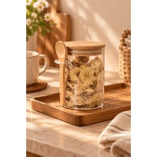Atbyhome Kaşıklı Bambu Kapaklı Borosilikat Cam Kavanoz 480 ml - Vakumlu Baharatlık Çay Şeker Erzak Saklama Kabı