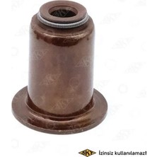 SKT Supap Lastiği Ford - Peugeot - Citroen - Fiat - Volvo 2003 2.0 Tdci DW10 6X10-19.6X21.5 (8 Adet)