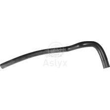 Rapro Radyator Yedek Su Depo Hortumu Megane 1 / Scenic 1995