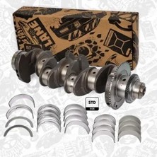KING PISTONS Yatak Ana Ducato 3 2014 / Daıly / Karsan 2.3jtd Euro6 (0.20)