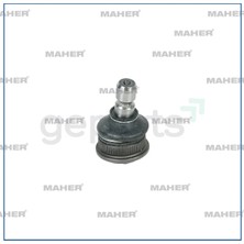 Maher Rotil 1-10 2009 / Picanto Alt