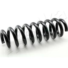 SACHS Helezon Yayı Arka F20-F21 2010-2018