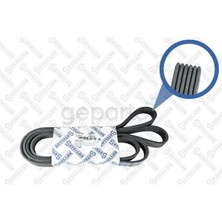 GMB Kanalli Kayış Vag / Crafter 2.5tdı 2006-2011