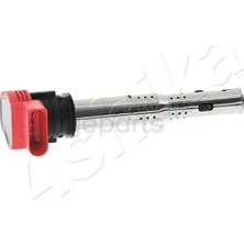 BSG Atesleme Bobini Touareg - A6-Q7-Cayenne 2004 20114 / 0986221052