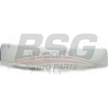 BSG Motor Kaput Cıtası Ust Connect 2008 Krom