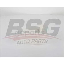 BSG Radyator Yedek Su Deposu Aveo T300 2012-2017