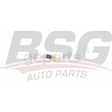 BSG Hararet Musuru Bm 1995 Su Sıcaklık Icın
