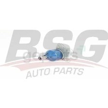 BSG Rotil Alt Duster 2010