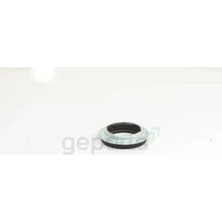 BSG Amortisor Ust Bılyası On T5-T6 2004 33946 01