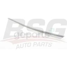 BSG Kapi Bandı Arka Sag Passat 1997-2000 Astarlı - Boyanır Tip