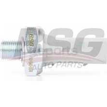 BSG Yag Basinc Musuru T5-Polo - A6 2001 Gri / 19016 (0,75-1,05 Bar)