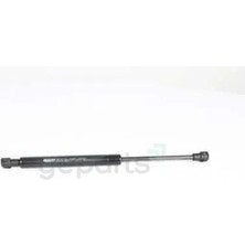 BSG Motor Kaput Amortısoru E60-E60 Lci - E61-E61 Lci 2003-2010