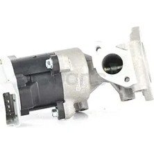 BSG Egr Valfi 407/607 2002