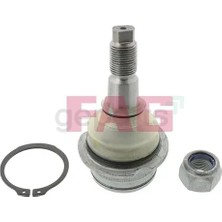 FAG Rotil Ust T2-T3 1978