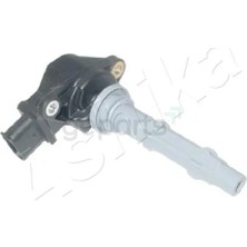 BSG Atesleme Bobini W212-218-221 2006