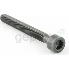 BSG Enjektor Cıvatası T5 2004-2010