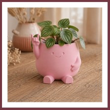 Storeşahin 3D Baskı Smiley Face Planter - Gülümseyen Karakterli Saksı-Pembe SHN0720