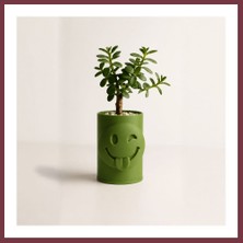 Storeşahin 3D Baskı Emoji Planter - Göz Kırpan Yüzlü Sukulent Saksısı-Yeşil SHN0720