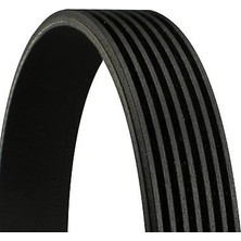 Bando Kanalli Kayış Nissan Qashqai J10 / Opel Movano. Vıvaro / Renault Fluence / Toyota Land Cruiser