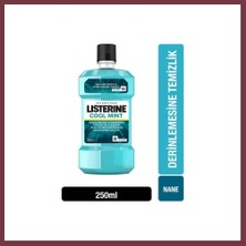 Storeşahin Coolmint 250ML 1 Adet SHN0720