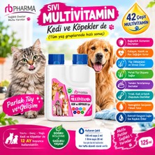 Sıvı Multivitamin Kedi (Tüm Yaş Gruplarında Hızlı Sonuç ) Parlak Tüy ve Gelişim 125 ml