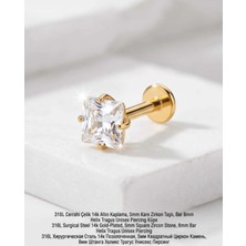 Lunexa 316L Cerrahi Çelik Altın Kaplama Kararmaz Alerji Yapmaz Zirkon Taş Figür Unisex Tragus Helix Küpe PIERCING-178-1