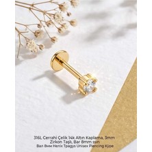 Lunexa 316L Cerrahi Çelik Altın Kaplama Kararmaz Alerji Yapmaz Zirkon Taş Figür Unisex Tragus Helix Küpe PIERCING-178-11