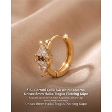 Lunexa 316L Cerrahi Çelik Altın Kaplama Kararmaz Alerji Yapmaz Zirkon Taş Figür Unisex Tragus Helix Küpe PIERCING-238A-6