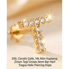 Lunexa 316L Cerrahi Çelik Altın Kaplama Kararmaz Alerji Yapmaz Zirkon Taş Figür Unisex Tragus Helix Küpe PIERCING-238B-25