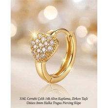 Lunexa 316L Cerrahi Çelik Altın Kaplama Kararmaz Alerji Yapmaz Zirkon Taş Figür Unisex Tragus Helix Küpe PIERCING-238A-27