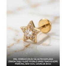 Lunexa 316L Cerrahi Çelik Altın Kaplama Kararmaz Alerji Yapmaz Zirkon Taş Figür Unisex Tragus Küpe Piercing